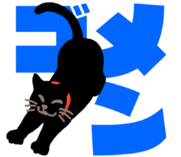 black cat with big letter sticker #11759319