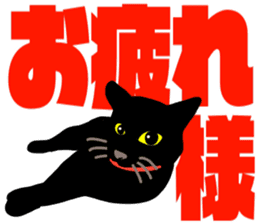 black cat with big letter sticker #11759321