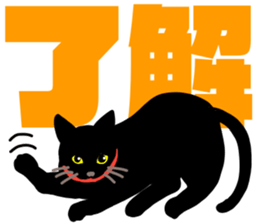 black cat with big letter sticker #11759322