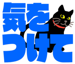 black cat with big letter sticker #11759329