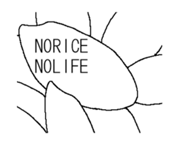 KOMEO animation sticker #11760465