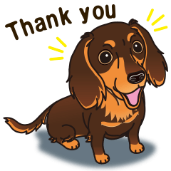 Sticker of Dachshund C&T. (English)