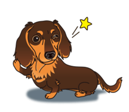 Sticker of Dachshund C&T. (English) sticker #11761650