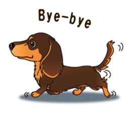 Sticker of Dachshund C&T. (English) sticker #11761655