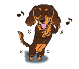 Sticker of Dachshund C&T. (English) sticker #11761663