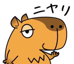 sleepy eyed Capybara sticker #11763554