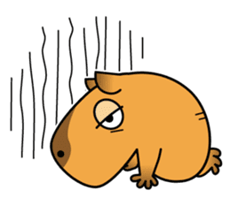 sleepy eyed Capybara sticker #11763560
