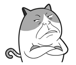 Meow star cat sticker #11766971