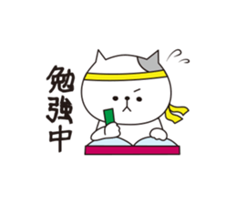 OKOCAT2 sticker #11767008
