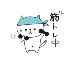 OKOCAT2 sticker #11767025