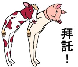 Cow and pig sticker #11767679