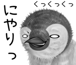 pepen summer keigo sticker #11767762