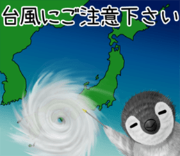 pepen summer keigo sticker #11767764