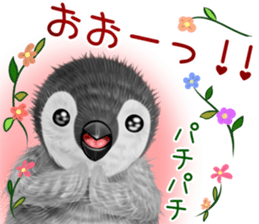 pepen summer keigo sticker #11767774