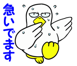Duck-Chan 3 sticker #11769087
