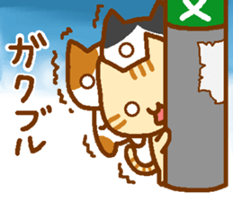 Brown cat MARURON sticker #11776934