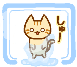 Brown cat MARURON sticker #11776943