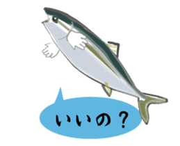 The yellowtail which moves sticker #11778984