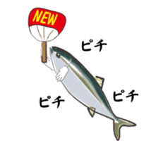 The yellowtail which moves sticker #11778988
