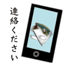 The yellowtail which moves sticker #11779004