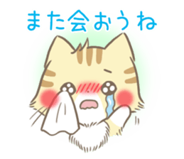 mild-Kitten-Docile- sticker #11779228
