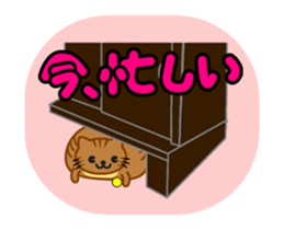 OZPOP-MIX sticker #11779353