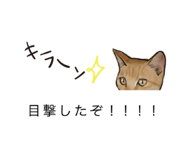 Futaro The Cat "boyaki" sticker #11779950