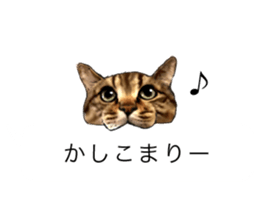 Futaro The Cat "boyaki" sticker #11779955