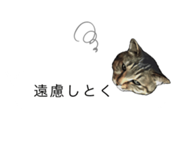 Futaro The Cat "boyaki" sticker #11779956