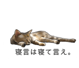 Futaro The Cat "boyaki" sticker #11779958