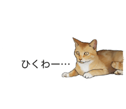 Futaro The Cat "boyaki" sticker #11779959