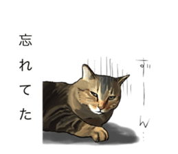 Futaro The Cat "boyaki" sticker #11779965