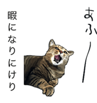 Futaro The Cat "boyaki" sticker #11779966