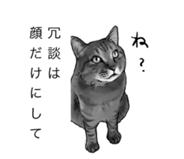 Futaro The Cat "boyaki" sticker #11779968