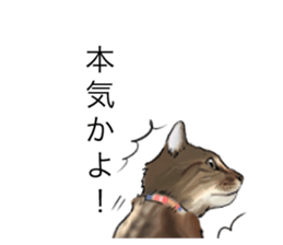 Futaro The Cat "boyaki" sticker #11779972