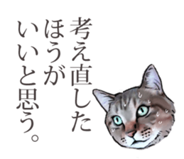 Futaro The Cat "boyaki" sticker #11779983