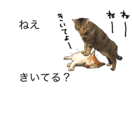 Futaro The Cat "boyaki" sticker #11779986