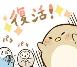 Round small bird sticker #11780146