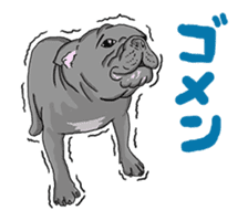 FrenchBulldog's TOYkun vol.5(animation) sticker #11780167