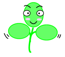 Moringa sticker #11782943