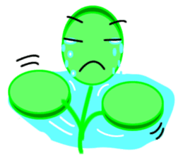 Moringa sticker #11782957