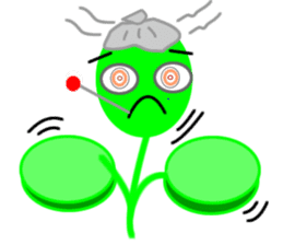 Moringa sticker #11782960