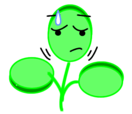 Moringa sticker #11782961