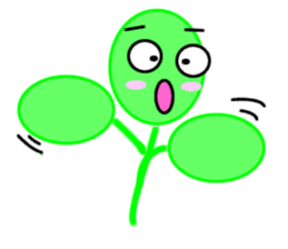 Moringa sticker #11782973