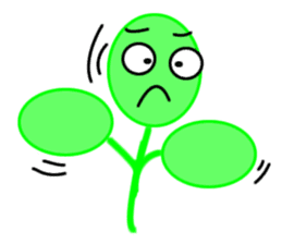 Moringa sticker #11782974