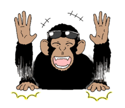 Everyday of chimpandee sticker #11782999