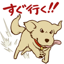 GOLDEN ANDY sticker #11784948