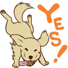 GOLDEN ANDY sticker #11784952