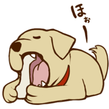 GOLDEN ANDY sticker #11784955