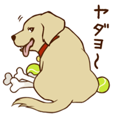 GOLDEN ANDY sticker #11784965